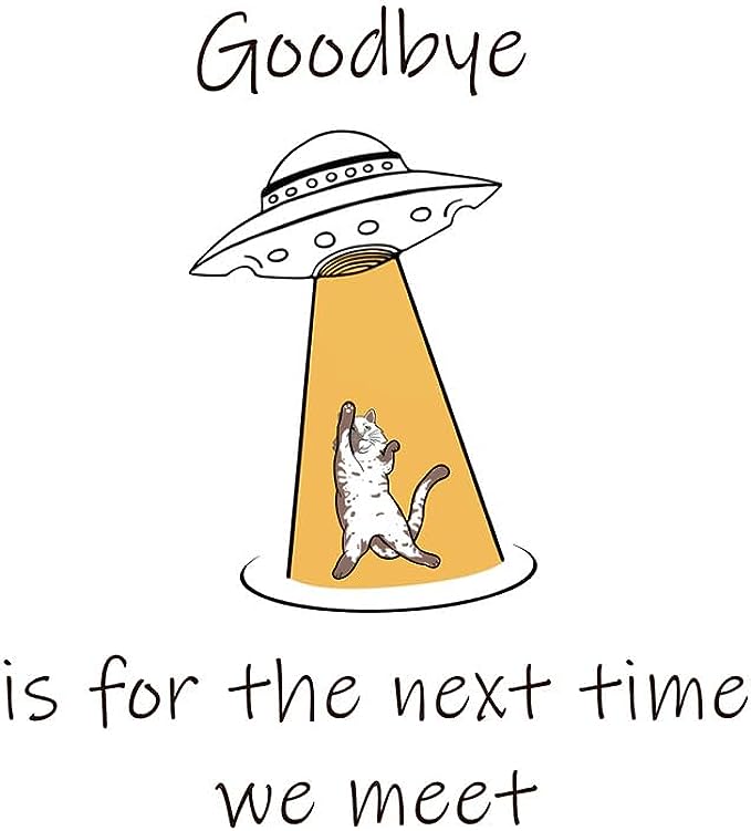 CORIRESHA Teen Hoodie Alien Spaceship Abduction Cat Funny Long Sleeve Sweatshirt