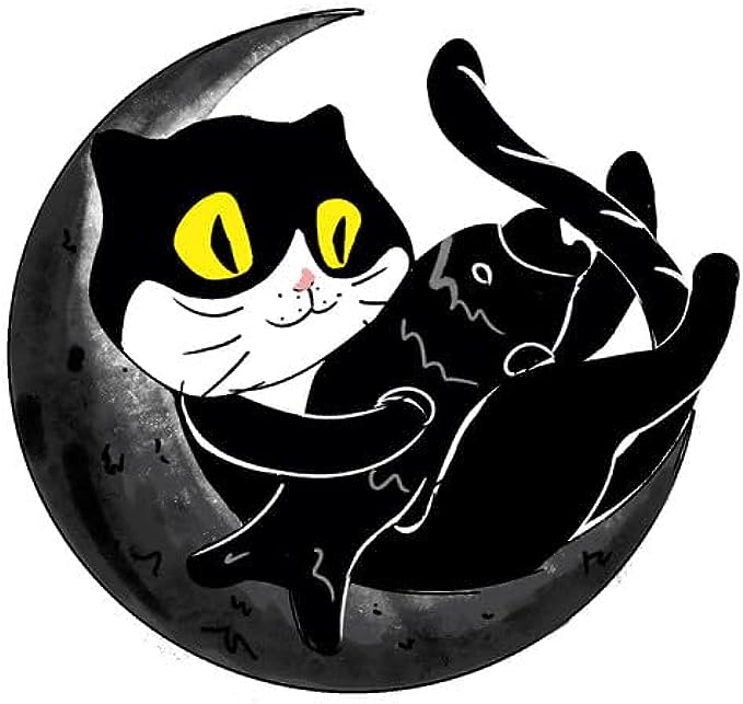 CORIRESHA Unisex Funny Cat Sweatshirt Crew Neck Long Sleeve Cozy Moon Pullover