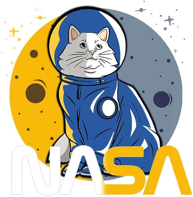 CORIRESHA Sudadera con capucha de la NASA de astronauta para adolescentes, informal, de manga larga, con cordón y gato